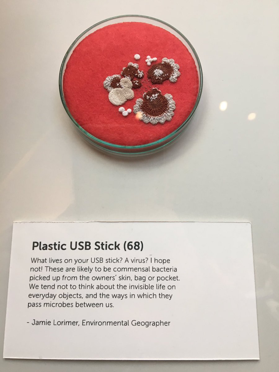 flygirlNHM's tweet photo. Ok i'm wearing a atupid grin. Embroidered bacterial plates. Who says showing small things is difficult!  These are beautiful #BacteriaWorld @morethanadodo #displays #creativity https://t.co/zKdOZ9SEKy