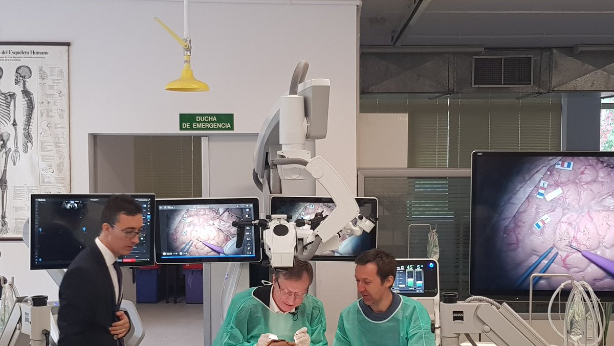 carvelhn's tweet photo. A deep understanding of the #subcortical #anatomy at the #3DFiberSdr with Prof. #Duffau and a great team!! Great organization by @juanmartino2020! @NeuroRaquisHUMV @IDIVALdecilla @HUnivValdecilla @unican https://t.co/5yijKo86qX