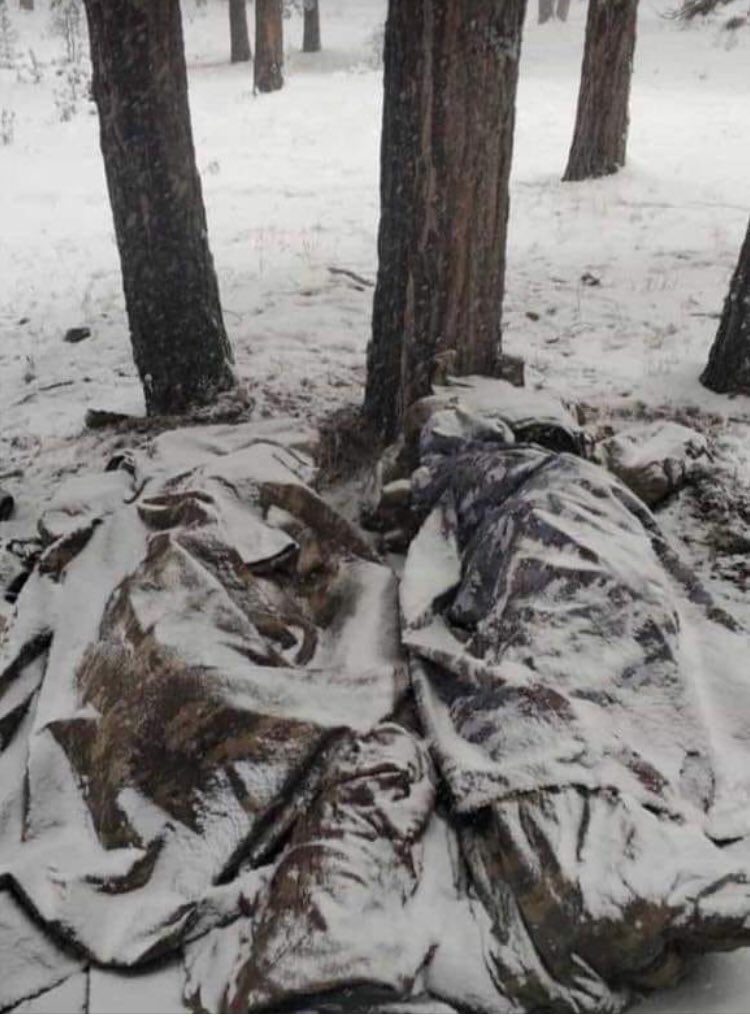 Üstü açık uyumuştur diye gece yarıları kalkıp evladının üstünü örten anneye,evladın donarak şehit oldu, nasıl denir bilemiyoruz ancak Allah ailelerine ve milletimize sabır versin. İki askerimiz donarak şehit oldu!
#ŞehidimizVar #şehitlerölmez