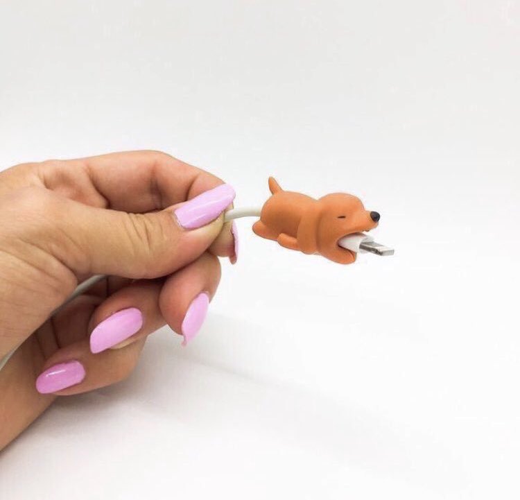 CableCompanions's tweet photo. Love dogs?  Check out our cute dog Cable Companion who’ll protect your phone charger 🐶

https://t.co/0f8Dsyas70

#dogsofinstagram #DogsofTwittter #doglovers #dogstrustbridgend #dogs #tech #iPhoneXR #dogstrust https://t.co/F8fQ9wkwxa