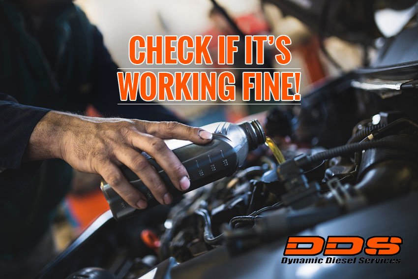 DynamicDieselS's tweet photo. We advise that you book in regular vehicle servicing to try and reduce the chance of a breakdown and to keep your equipment running at its best.
https://t.co/uWm3vRnZl4
#peacheyroad #yatala #queensland #diesel #dynamicdieselservices #mechanic #service https://t.co/KZdHL4p4S9