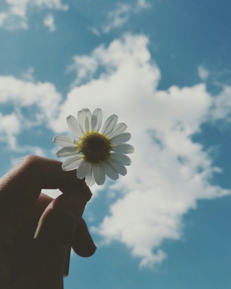 หมอกควัน🚬 ft. อาจจะไม่ได้ตอบ tweet media