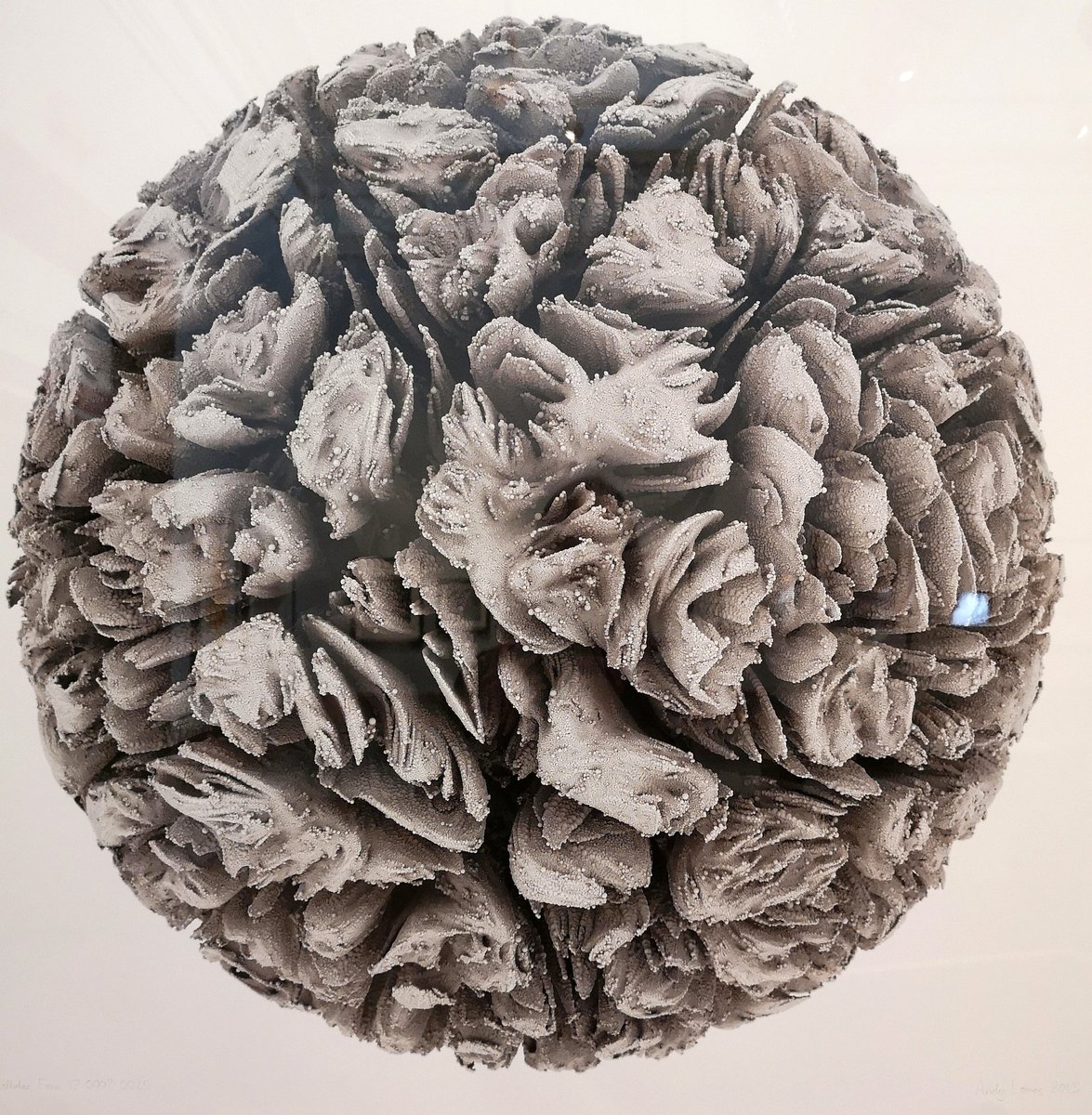 DrShelleyJames's tweet photo. Cellular Form by Andy Lomas part of the fascinating and beautiful #chanceandcontrol show @V_and_A https://t.co/Z9NJQWNUTL
