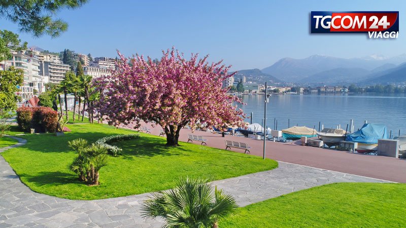 donnavventura's tweet photo. Passeggiando per il lungolago di Lugano, città cosmopolita e dinamica ma allo stesso tempo tranquilla e a misura d'uomo! Scopri di più su: https://t.co/MIRSaNk4vS @MediasetTgcom24 @MySwitzerland_i https://t.co/9IgbOWmZk8