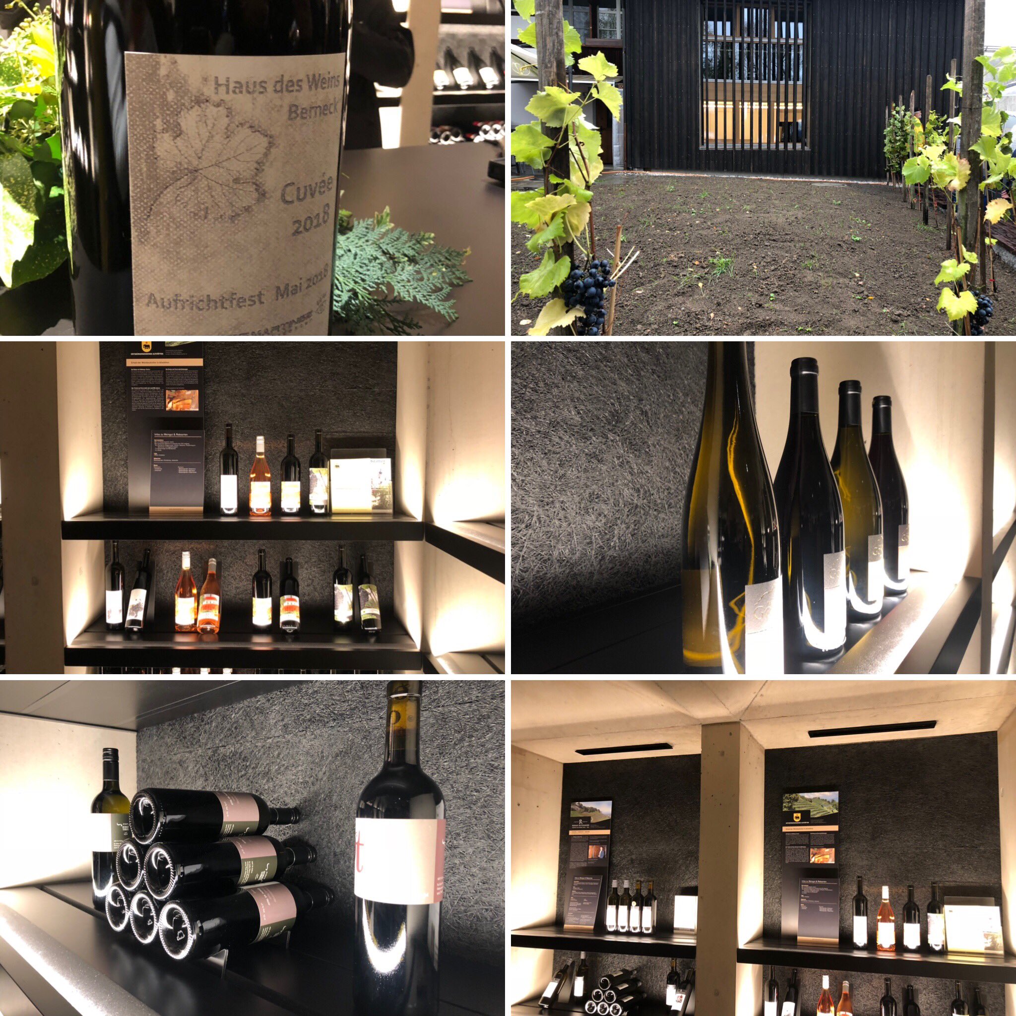 Tobias Treichler On Twitter Opening Hausdesweins Berneck