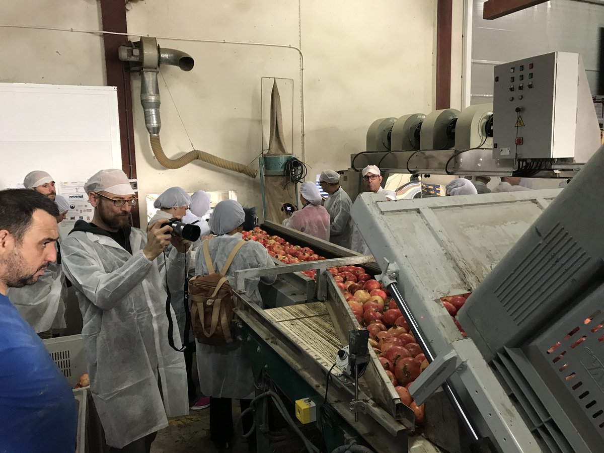 granadaselche's tweet photo. Descubriendo el proceso de envasado de la #granadamollarElche en el #BlogtripMollarElche #desgrÁMAME #mollarlovers https://t.co/4CZ04ZiiXu