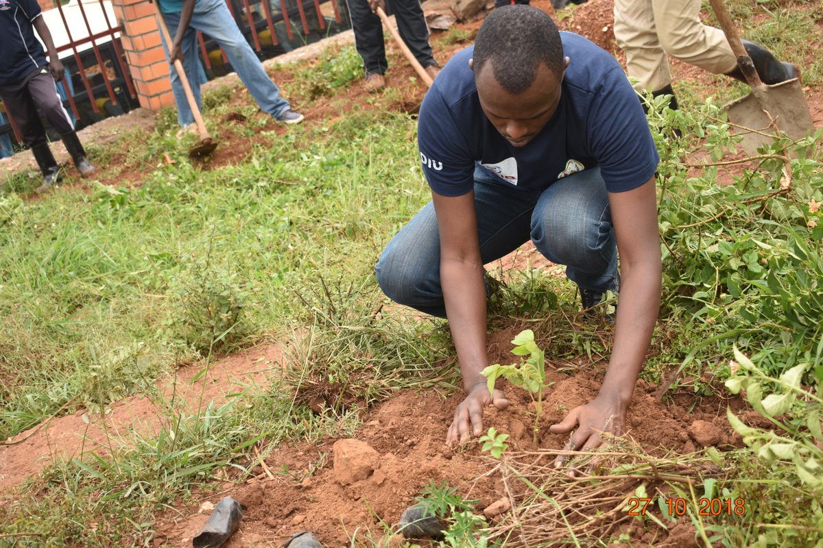 Umuyobozi wa @RwandaForensic n'abakozi bakoreye umuganda i Mageragere.Ubutumwa bwatanzwe bwibanze ku guharanira ubutabera,hakumirwa ibyaha bikorwa hifashishijwe ikoranabuhanga ,ikoreshwa ry'ibiyobyabwenge n'icuruzwa ry'abantu. @Imbuto @JusticeSectorRw @BusingyeJohns @EvodeU