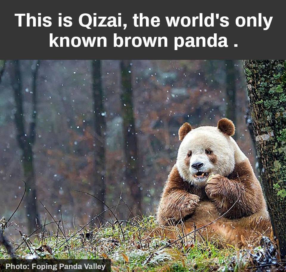 ScienceDiscuss's tweet image. 