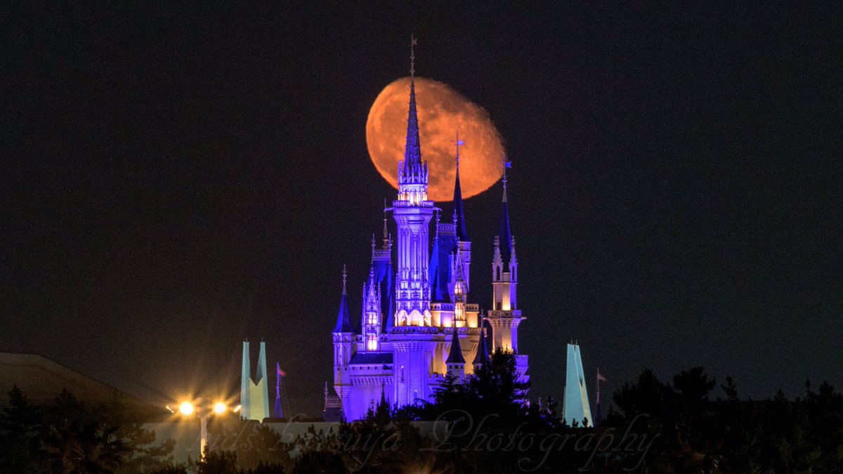 ディズニーランドのシンデレラ城と月のコラボが 幻想的で美しすぎるので集めてみました 満月も三日月もよき 魔女が出てきそう Togetter