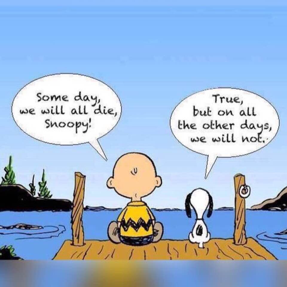 tito_mboweni's tweet image. Ah! Snoopy!