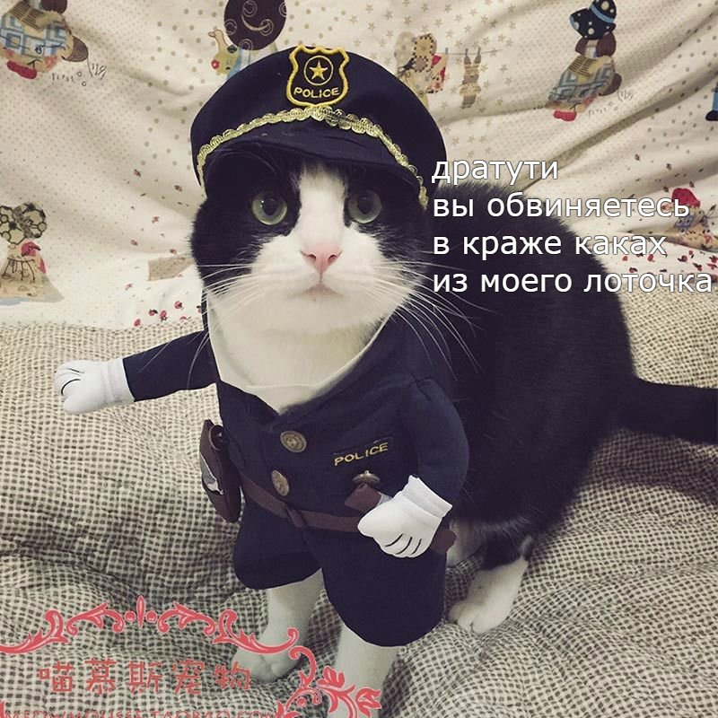 Dqh3dnjXgAAEtY_?format=jpg&name=900x900