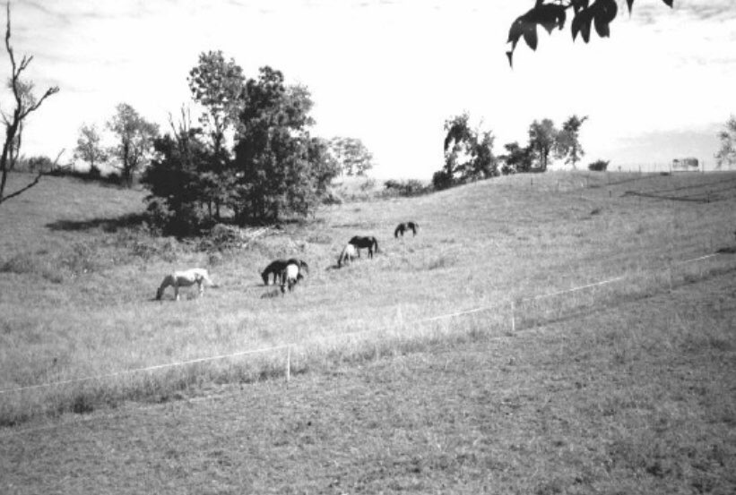 #13: Porter Plantation • 365 acre plantation owned by Rev. James Porter from 1832-1865• 40-100 slaves • Big house located at 2709 Tracy • stretched from the locations of modern day Children’s Mercy, Operation Breakthrough, Troost Lake and the KC health department