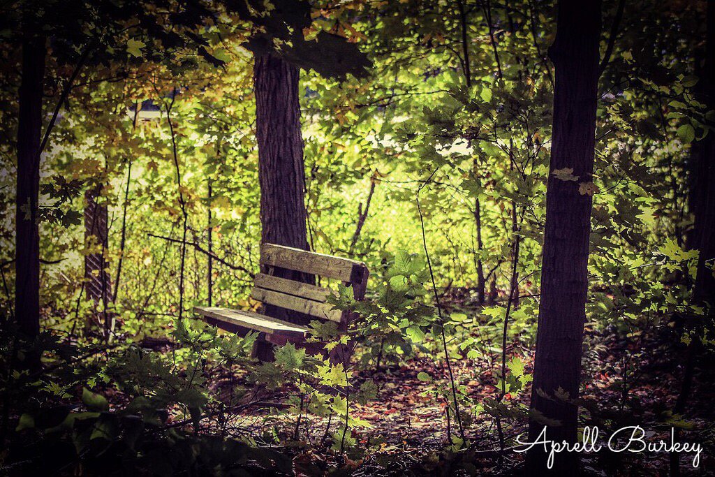 LakeMetroparks's tweet photo. You always have a front row seat to view nature in our parks. 

Photo by Aprell Spotz. https://t.co/3W7X4KtTeC