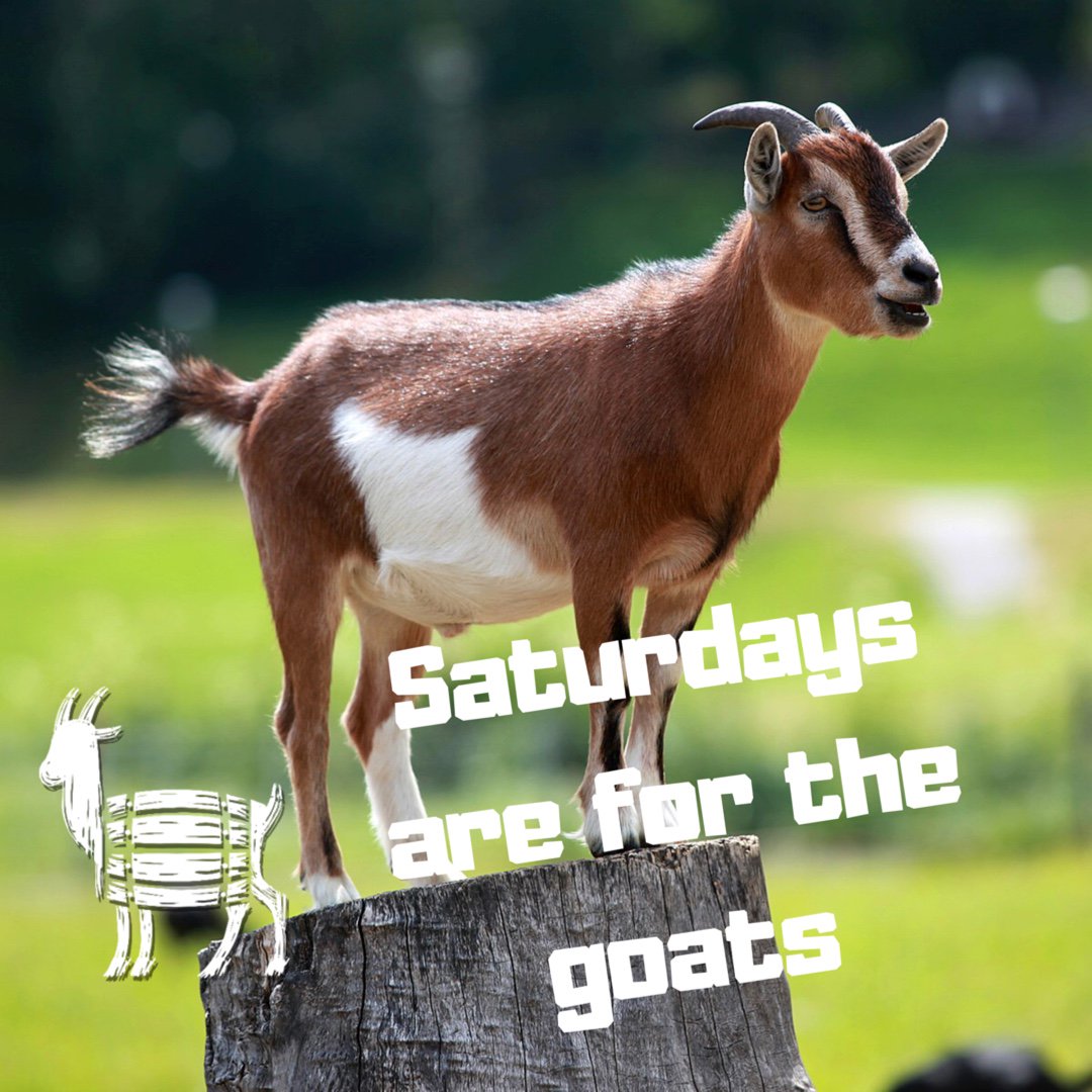 goatlockerbeer's tweet photo. Happy Saturday everyone! We hope you all have a great day. We also hope you have a chance to have some delicious craft beer 🍻🐐 #GetTheGoat #SaturdaysAreForTheGoats #PaleSessionAle #GermanLager #SupportLocal #DrinkLocal #Weekend https://t.co/MuOLtC9V3c
