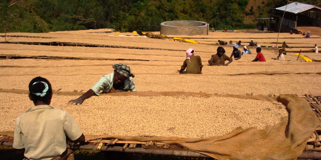 IFAD's tweet photo. Access to diverse agricultural technologies is key to ensuring smallholder #farmers can continue to feed the world 🌍 

#InvestInRuralPeople #agriculture #nutrition https://t.co/Bs00u9iAT1