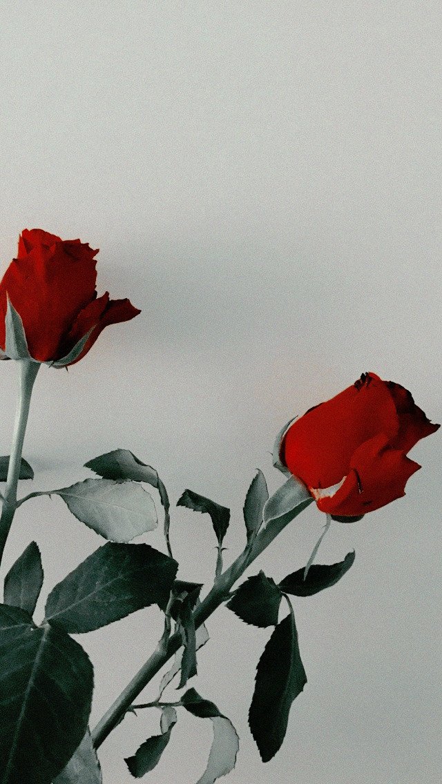 wallpaper & lockscreen 💫 on Twitter: wallpaper & lockscreen 💫 on Twitter: