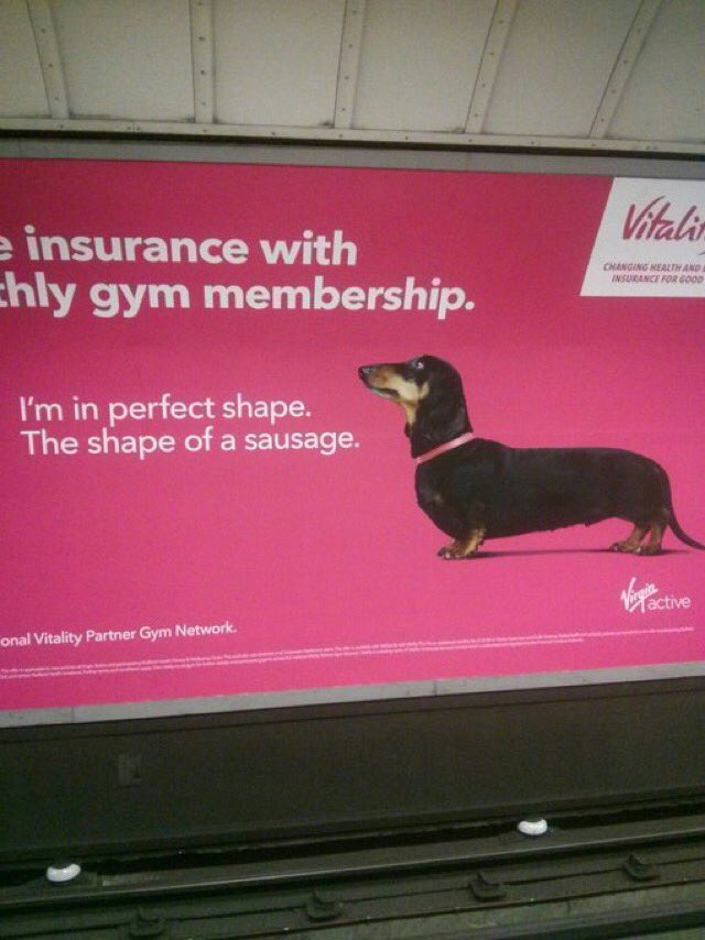 .<a href="/BritishVets/">BritishVets</a> meet <a href="/Vitality_UK/">Vitality UK</a>