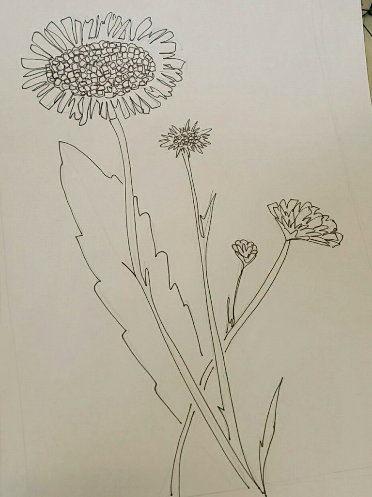 Just getting ready for tomorrow, I'll be @artanduk #york demonstrating in the 'made in a day' area. I'll be hopefully creating this field scabious design in #wire
Come and see me 10 - 4, lots of amazing #artists #designermakers showing their lovely #craft 
#buyhandmade #buyart