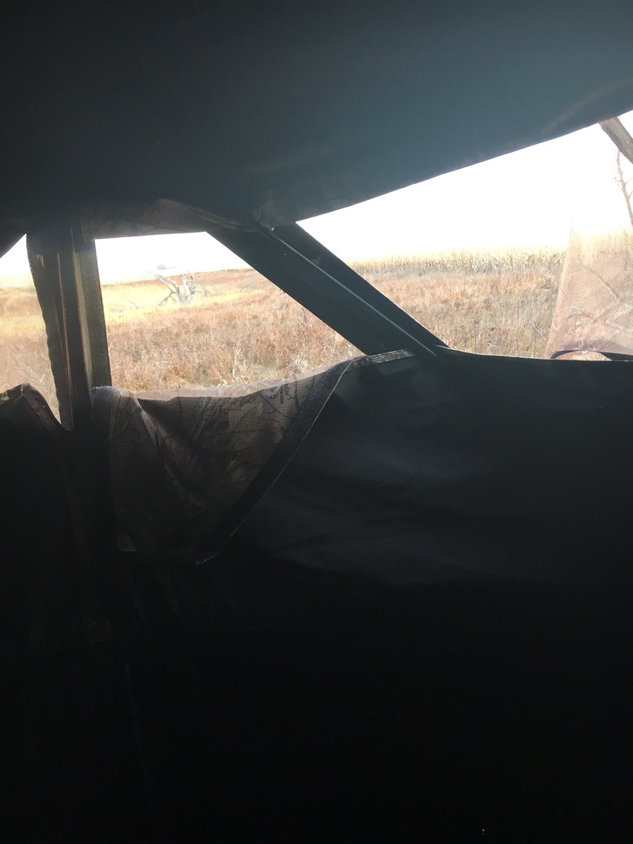 troywixo's tweet photo. The mornings view #relaxing https://t.co/asMqFDuXBP