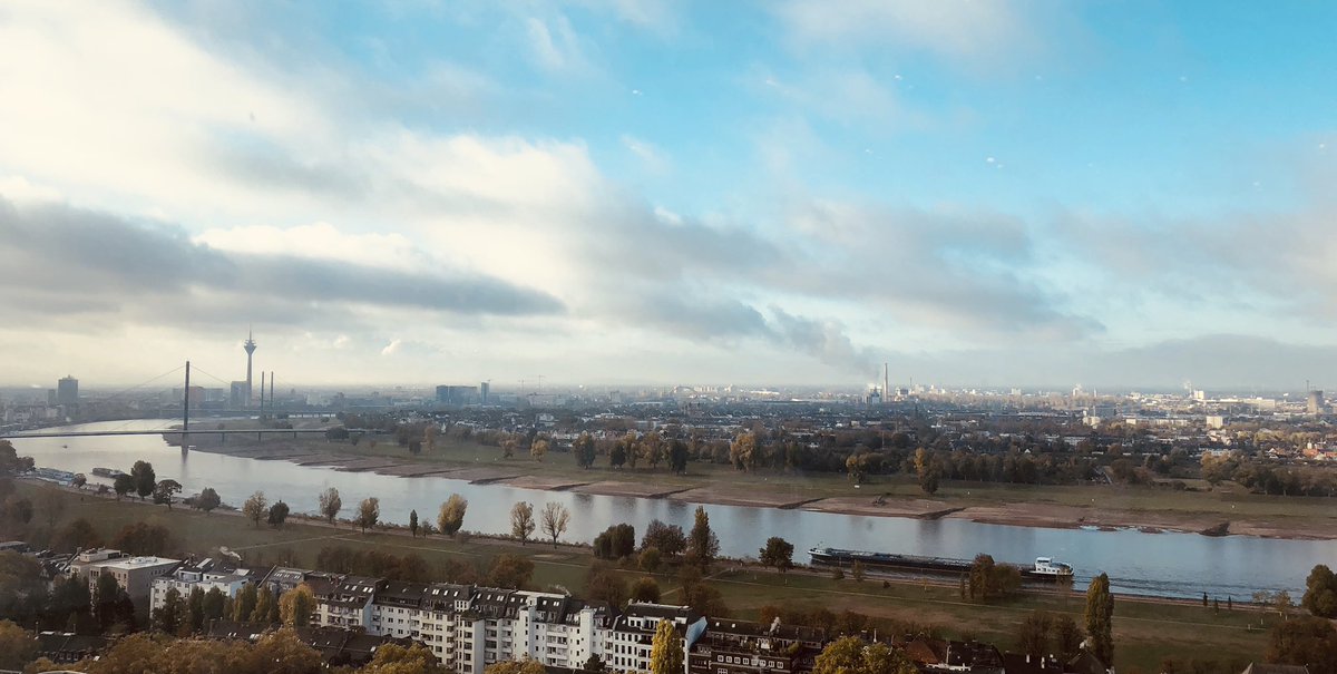 Michael Grupp tweet media