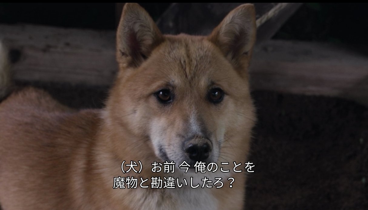 柚子 勇者ヨシヒコは全シーズン可愛い犬がいて私ニッコニコ 今日観た犬ヨシヒコの表情とフワフワ感