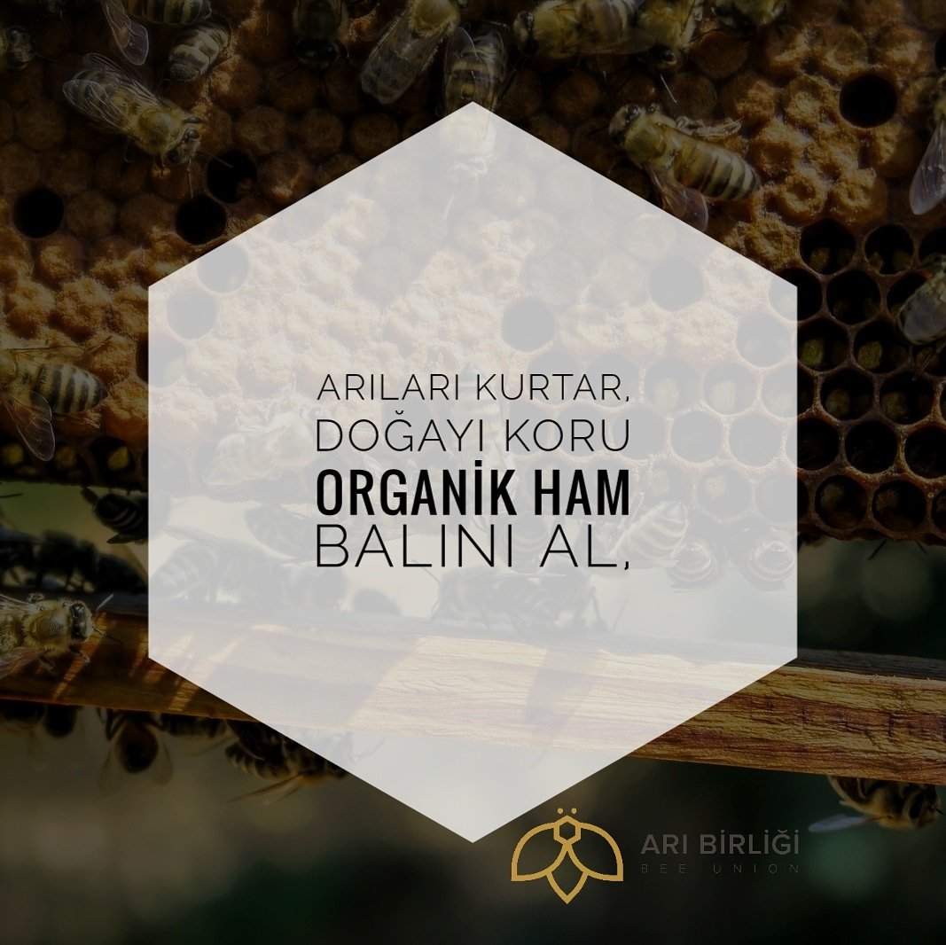 Arı Birliği® tweet media