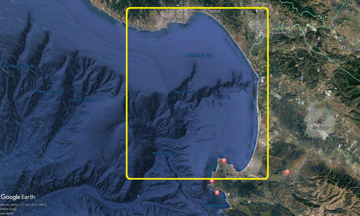 ShornVeh's tweet photo. - Monterey Canyons- by JunkBOt 

Bay of Monterey, CA has an underwater canyon system

What you see in this #drawing is the integrated land topography with ocean bathymetry

Google Earth image for reference

#plottertwitter #map #art #drawings #processsing https://t.co/IpQYvVneBu