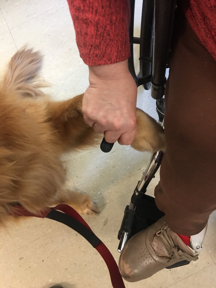 PamSmithDTN's tweet photo. @WDSchumm @zoerbfarms I believe in "Golden" moments. #Lucyatwork https://t.co/1rNKRAFVtn