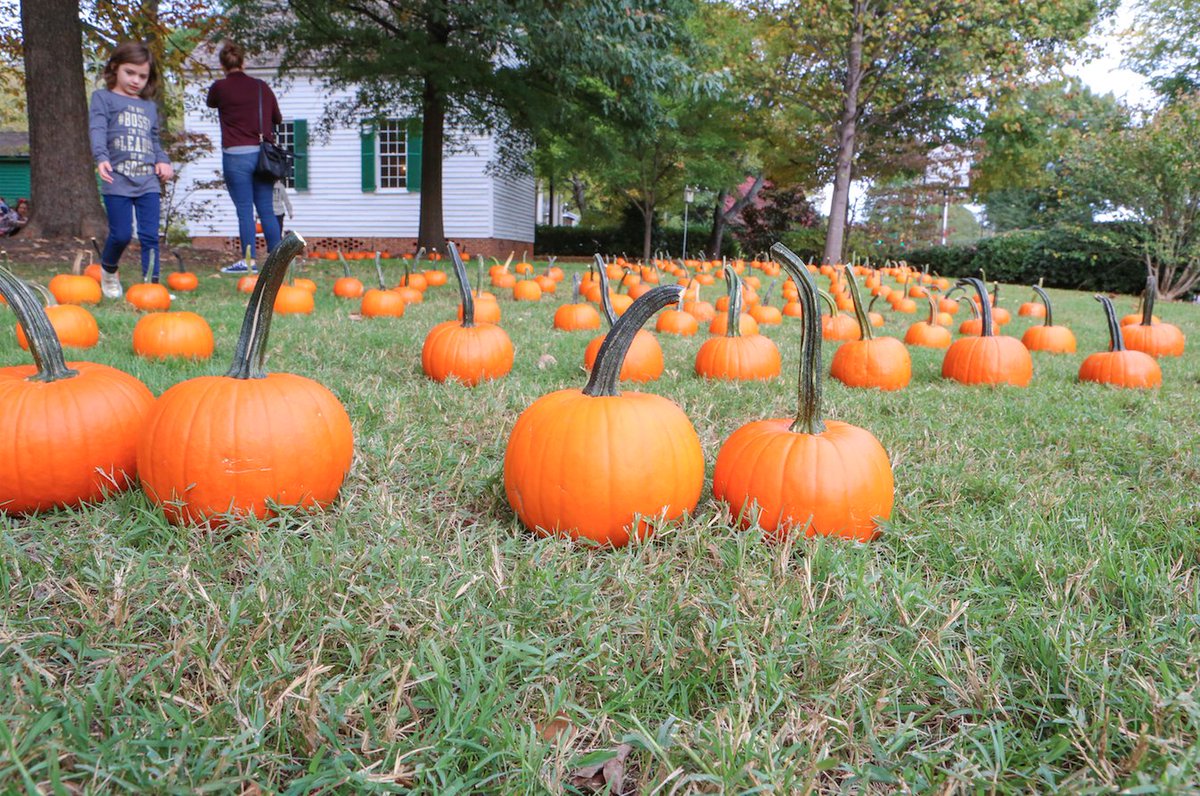 RaleighHistory's tweet photo. Come to Mordecai Historic Park today from 1-4 for #HauntedMordecai Festival! 🎃 We’ll have carnival games, a pumpkin patch, costume contests, &amp; presentations by @TheGhostGuildNC   👻 Free event!   Info 👉 https://t.co/uHvjzKJ70e Share your photos with us using #HauntedMordecai! https://t.co/2nlw26Ehq0