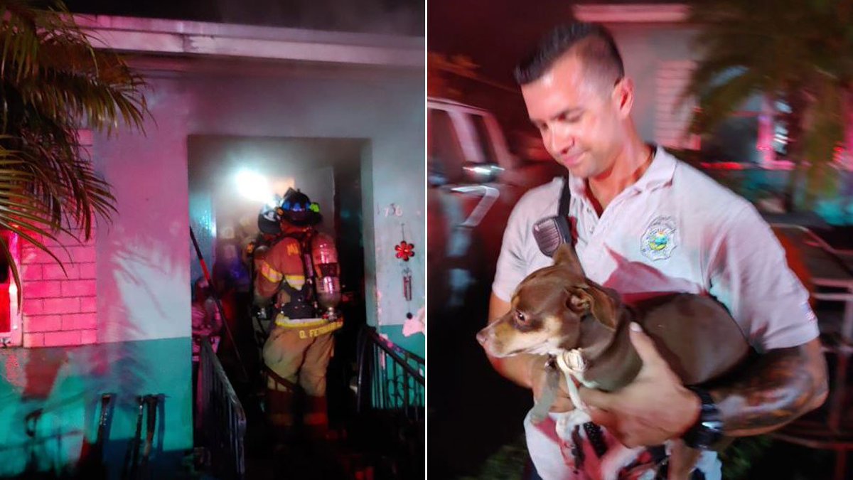 Firefighters rescue several pets from house fire in Miami-Dade County bit.ly/2EQfRPn https://t.co/ryy86S68oI
