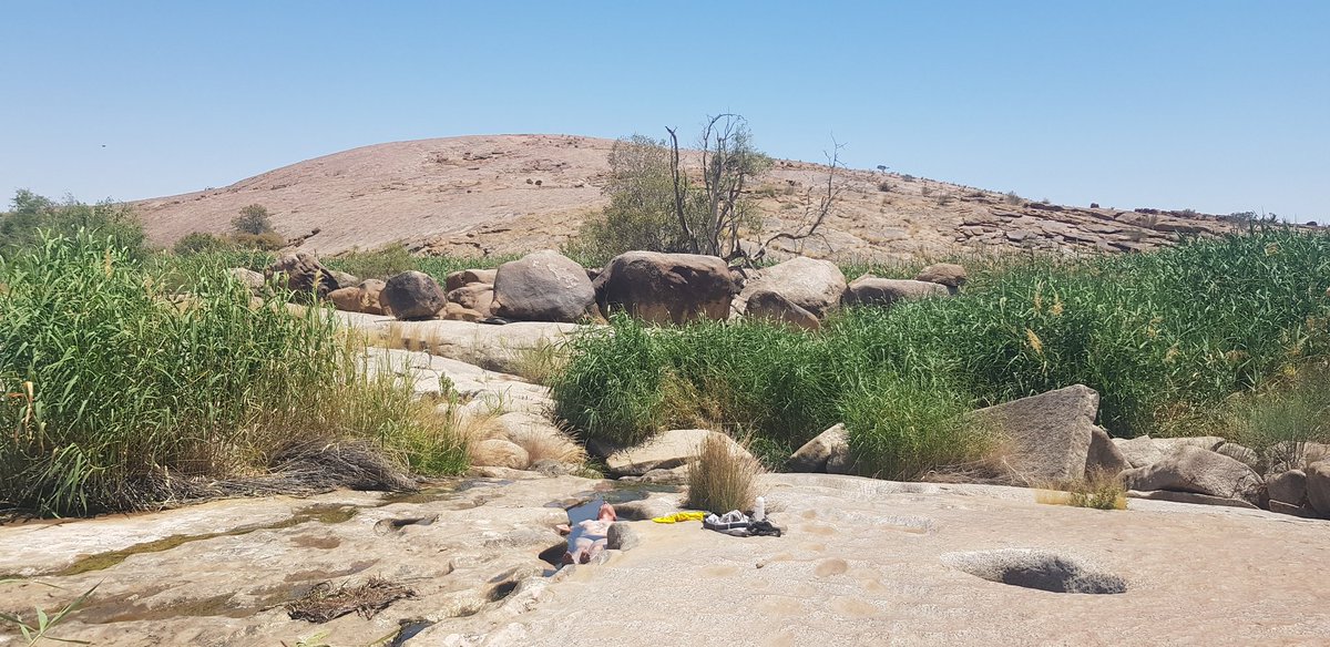 Edward Chapman tweet media