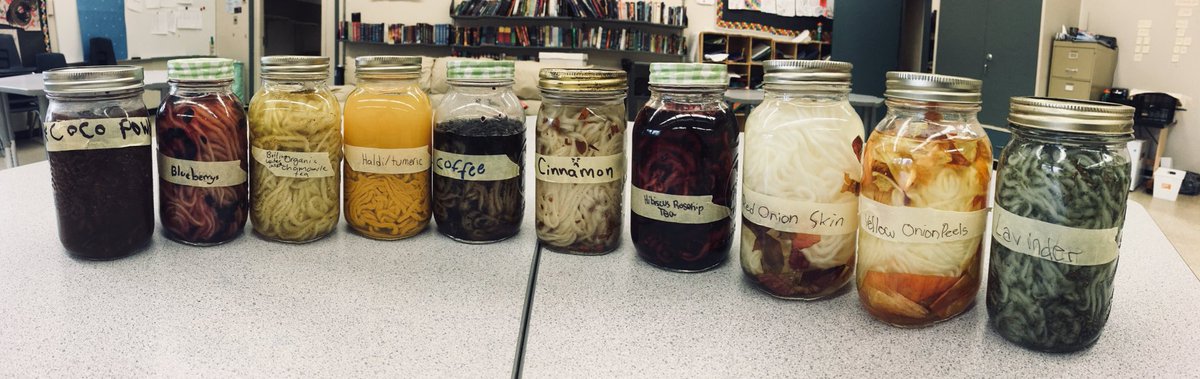 Yolanna Zlotnik tweet media