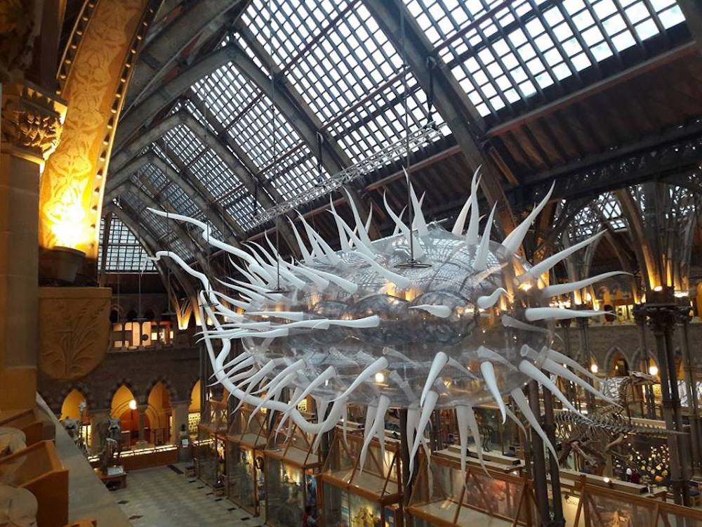 muddybucksoxon's tweet photo. Sunday funday is all about the exhibits @Brucey1 @BBCOxford #Duke & #Duchess of Sussex exhibit at #WindsorCastle👑, #BacterialWorld @morethanadodo, #FutureKnowledge @mao_gallery. Tune in at 8:45! https://t.co/0CfvhUYuT7