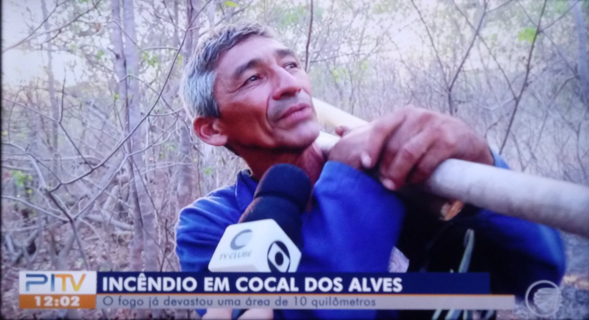 Wands_Ferreira's tweet image. #PI1