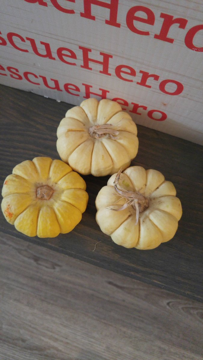 feeditforwardTO's tweet image. #spoopy pumpkins spotted at the PWYC store!