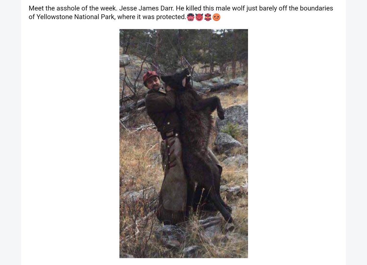 AnetaMes's tweet photo. Piece of shit killing such a beautiful animal. Die in pain, fucker! https://t.co/pArUR6gKL9