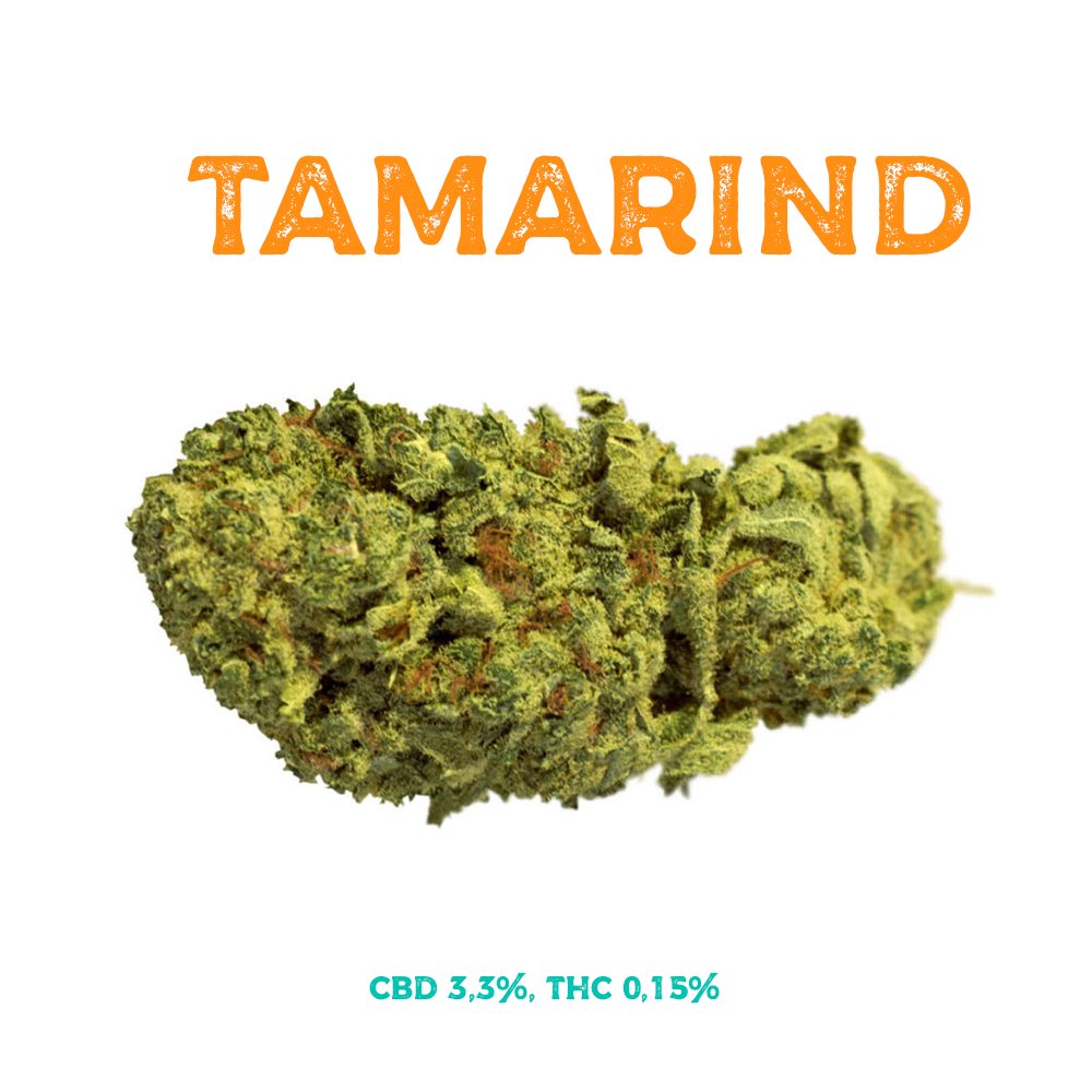 Nubcbd's tweet photo. Tenemos variedades seleccionadas con contenido en #thc menor al 0,2% #legal https://t.co/qLyoRxCeho #aroma #intenso #tamarindo #comprarcbd https://t.co/Y6h93YOwIG