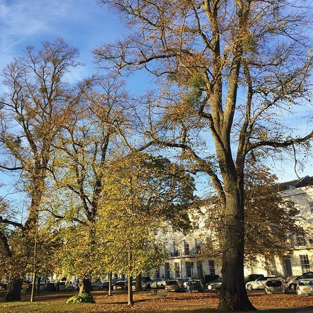 The Cheltenham Edit tweet media