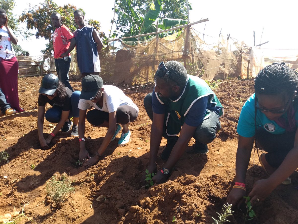 Presidents from the Rotaract Clubs of Kampala Ssese Islands, Kampala South, Nairobi Central and Young Professionals initiate the transplanting of various vegetables and fruits to the main garden
#EcoFarming
#BandaIslandsPhase2