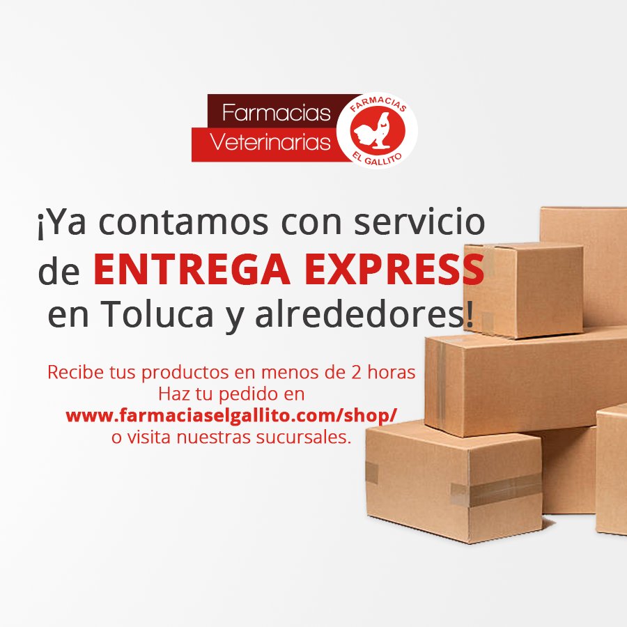 FarmaElGallito's tweet photo. Disfruta del gran #envioexpress que te ofrece #FarmaciaselGallito.
Aprovecha de nuestra #macroventa con fecha del 1 al 31 de Octubre.
Contáctanos en:
https://t.co/PKBTGqBmfy
No olvides visitar a tu Sucursal más cercana https://t.co/0NmDzKGqOP