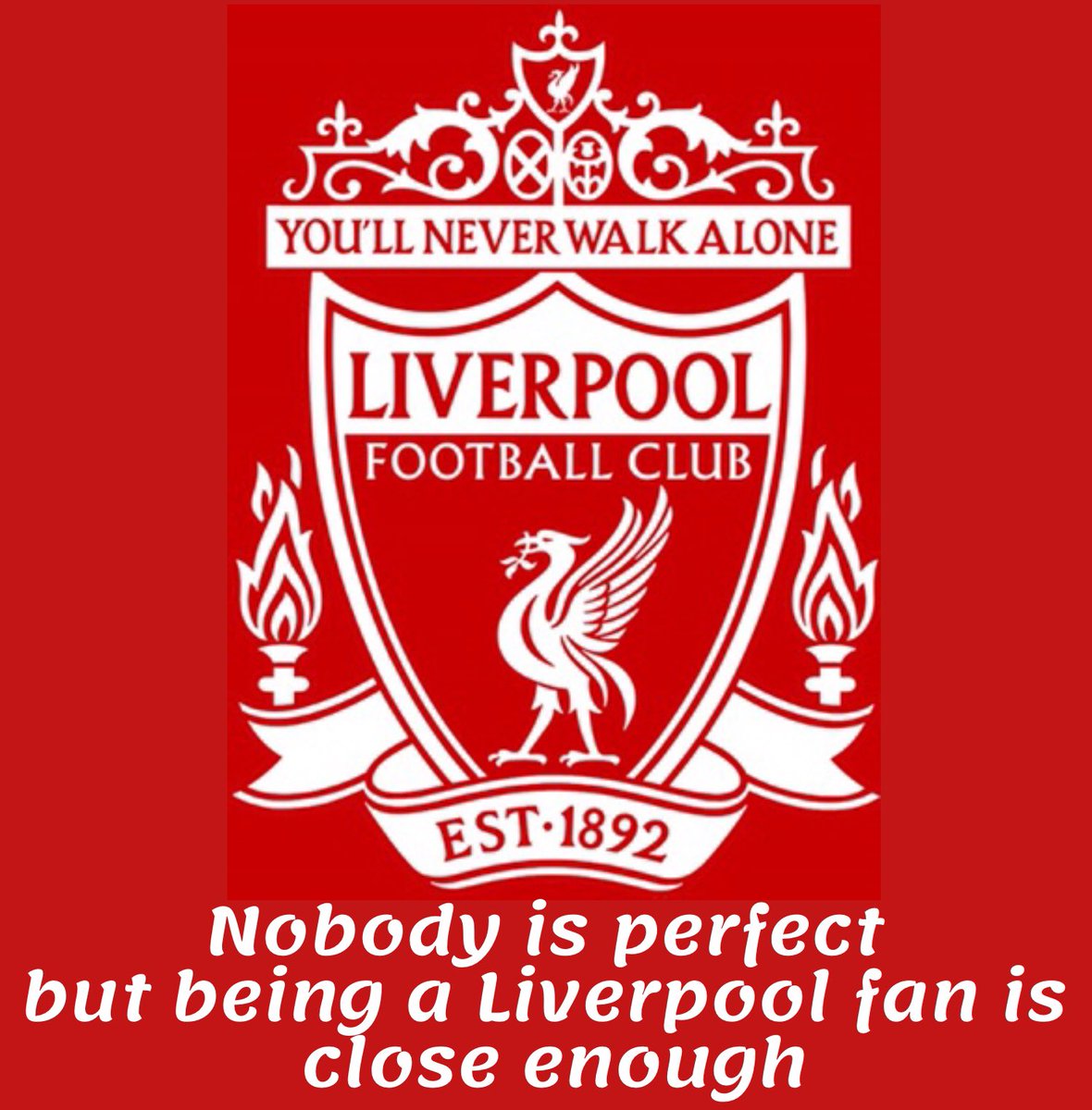NickiFothergill's tweet image. Good win @LFC 👏👏👏 slack goal from Cardiff .. dropped your guard otherwise nice all round .. great goals  @MoSalah #SadioMane and @XS_11official  👏👏👏 superb assists from #MIghtyMo .. one very happy supporter #3pts  #10outof10 #TopOfThePrem   #ProudToBeRed #YNWA 4 - 1 #LIVCAR