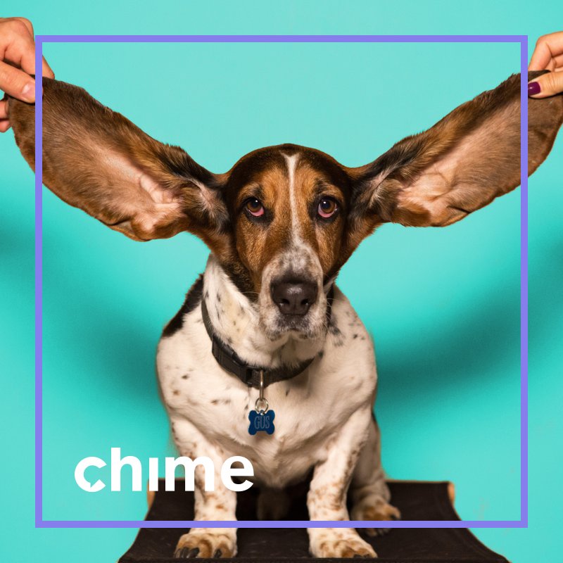 chime_io's tweet photo. Native apps do their best to feed you relevant posts, but it’s not always enough to help your business grow. You need to know exactly when your own brand voice needs to be heard: https://t.co/tX0zKzRBro

#TimeToChime #socialmedia #engagement #marketing https://t.co/fk1i9tBerJ