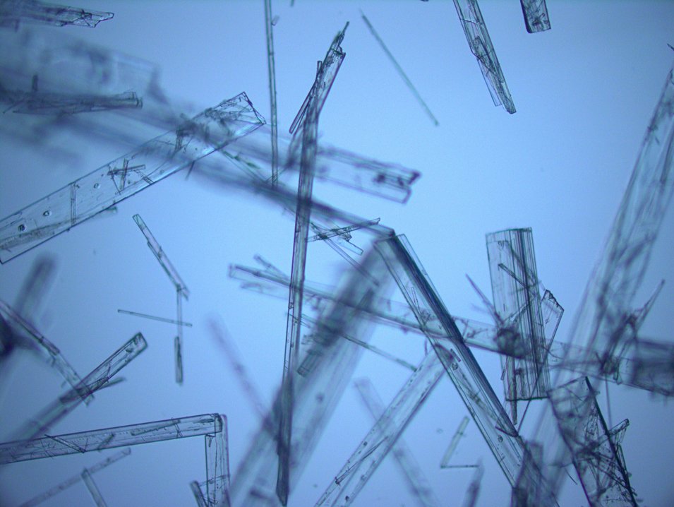 StrathImages's tweet photo. Olayinka Olalere’s work, in Innovation & Entrepreneurship, aims to create medicines with optimum effectiveness through the formation of co-crystals: https://t.co/kphOn84hNQ #StrathImages #StrathThemes #MakeaDifferenceDay @SIPBS_Strath https://t.co/Tte8r7GPCS