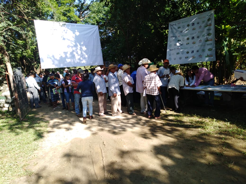 norpsma's tweet image. Último evento dentro del marco de la jornada de Innovaciones Tecnológicas Frente al Cambio Climático, realizado en La Catalina, San Miguel Talcamama @HubPSurCimmyt @ACCIMMYT  @uach_chapingo #HubPSur