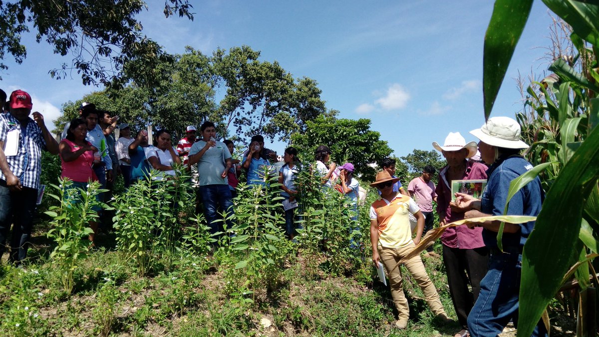 norpsma's tweet image. Último evento dentro del marco de la jornada de Innovaciones Tecnológicas Frente al Cambio Climático, realizado en La Catalina, San Miguel Talcamama @HubPSurCimmyt @ACCIMMYT  @uach_chapingo #HubPSur