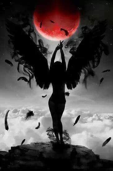 Raven Rocks (@raven_rocks1) on Twitter photo 