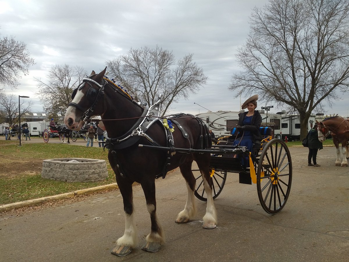 Camp Maple Leaf tweet media