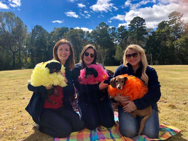 foxcarolinanews's tweet photo. These cuties won 'Best in Show' at #BarkInThePark Saturday!
Can you guess what their costumes were? 🐶❤ #Halloween #puppies #costumes #doggies #goodestdogs #FOXCarolina #loofahs https://t.co/iBliAg5IDF