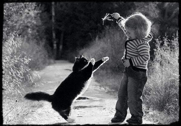 なんだか　ワクワク
からだも　イキイキ
これって　ドキドキ

いつでも心は自由だよ

ワイドな気持ち選んで
今日も始めよぅね…。