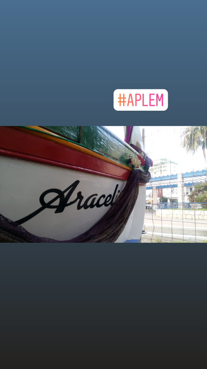 carloos_rey's tweet photo. Araceli.....💜💚💜💚 #APLEM https://t.co/hYQnPKq2OP